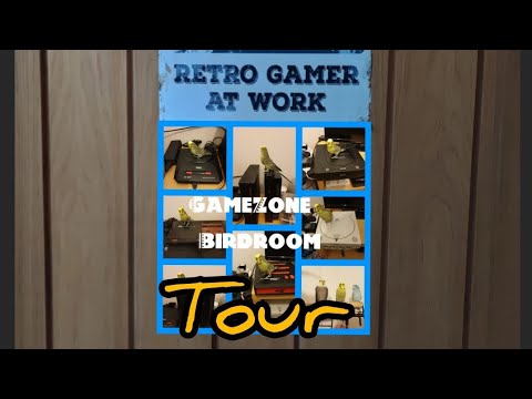 GameZone Birdroom Tour