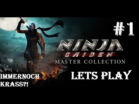Ninja Gaiden (Lets Play)