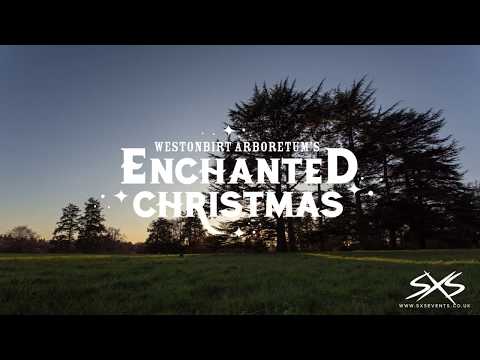 Westonbirt Arboretum Enchanted Christmas 2019