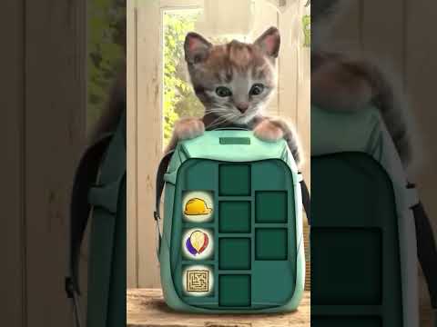 Cartoon Animation Little Kitten Adventure - Fun Educational Learning Cat Story for Kids