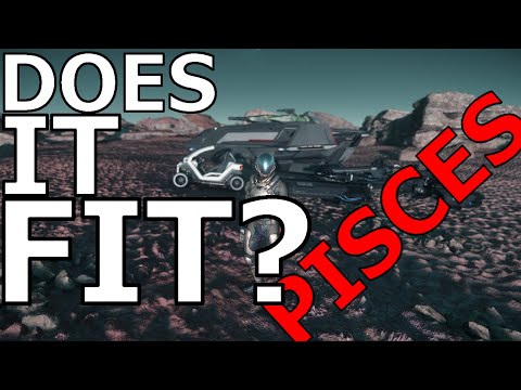STAR CITIZEN - DOES IT FIT?!