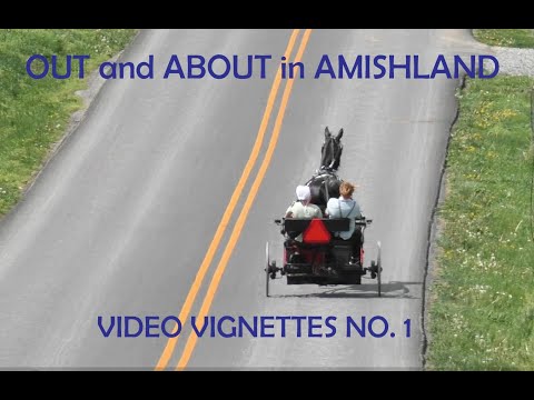 Out and About in Amish Land