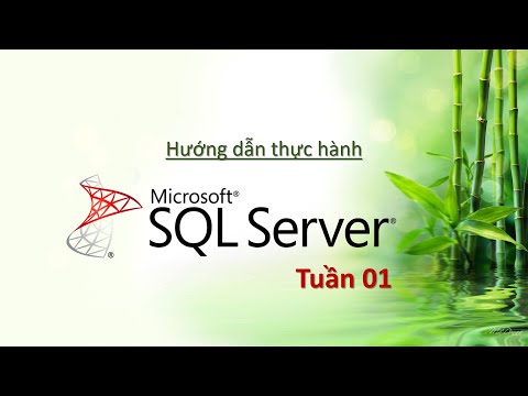 Hướng dẫn thực hành SQL Server