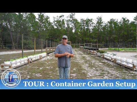 CONTAINER Garden Layout & Builds | Hollis and Nancys Homestead