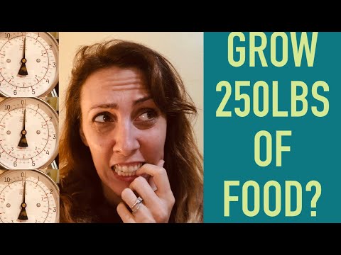 Growing Food is Easy