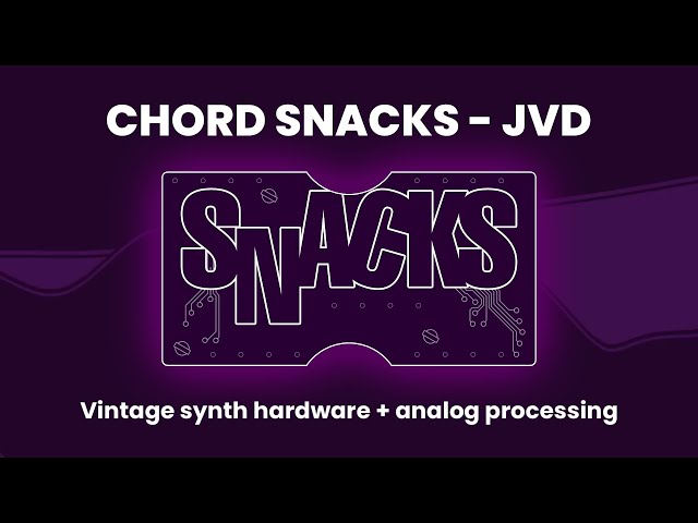 Chord Snacks JVD - 200 vintage chord stabs from Meat Beats