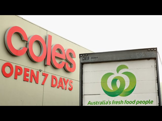 Australia's major supermarket chains prepare for investigation into prices