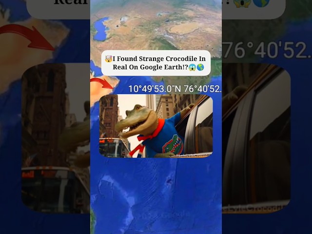 I found crocodile on Google Earth and Google maps #shorts  #youtubeshorts #findearthhand #earth