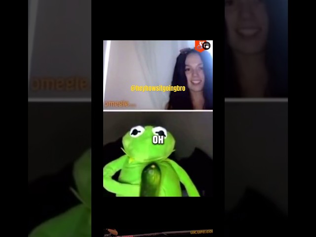 #kermit gets wild on #omegle 😂😂😏 #funny #shorts