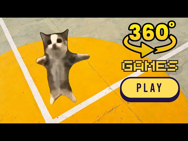 Happy Cat Finding Challenge 360° #3