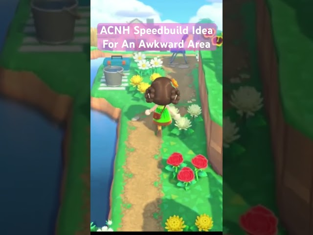 An ACNH Decorating Idea For An Empty Area! Animal Crossing Speedbuild #shortsvideo #shortvideo #acnh