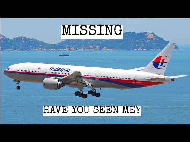 Have You Seen This Plane | Detective Hudson Ep 6
