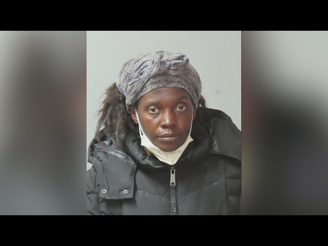 Police seek information on missing woman with schizophrenia
