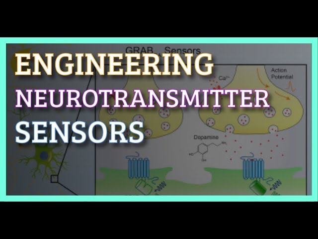Engineering Neurotransmitter Sensors