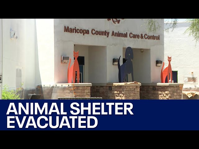 Bomb threat prompted animal shelter evacuation