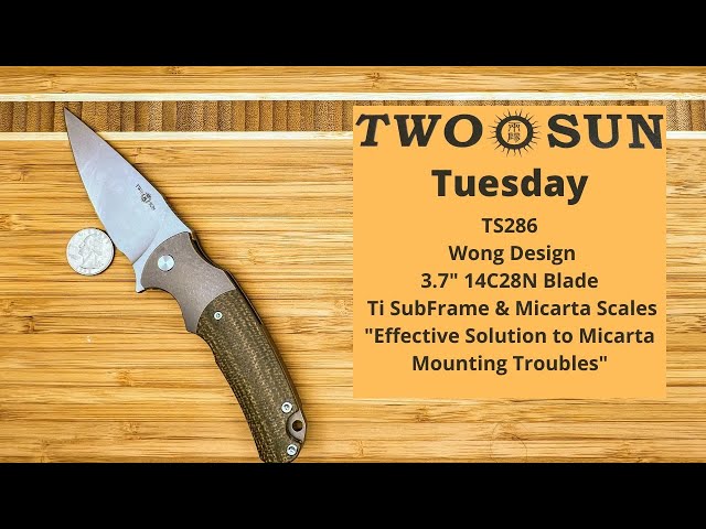 TwoSun Tuesday: TS286 Wong Design in Ti & Micarta with 3.7" 14C28N Blade