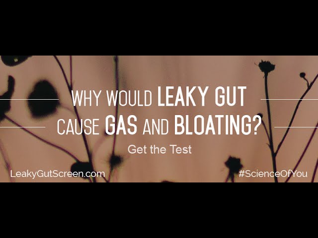 Why would LEAKY GUT cause GAS and BLOATING?