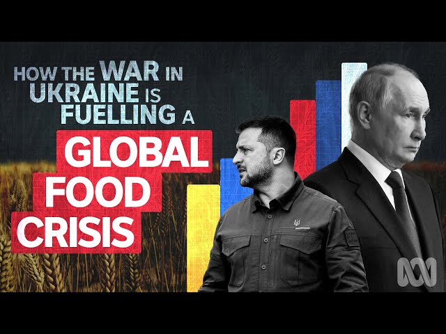How War in Ukraine is Fuelling a Global Food Crisis: Russia & the Black Sea Grain Deal Explained