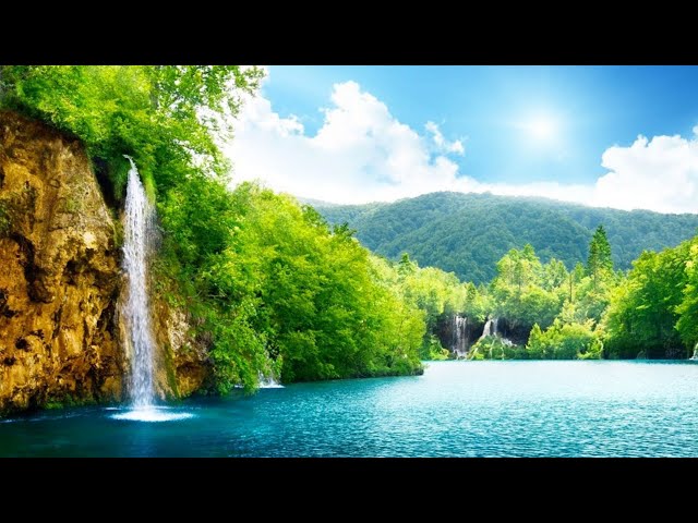 🍃Relaxing music relieve stress, stop anxiety and depression - relax mind body & soul #17