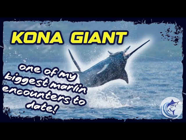 GIANT 900+ lb Blue Marlin | One of my Biggest  | Waterman S05E04 | Visions of Granders