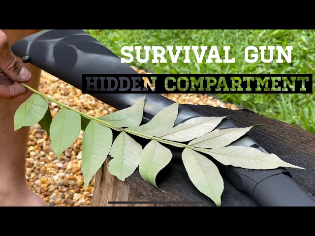 The Ultimate Budget Survival Rifle Build