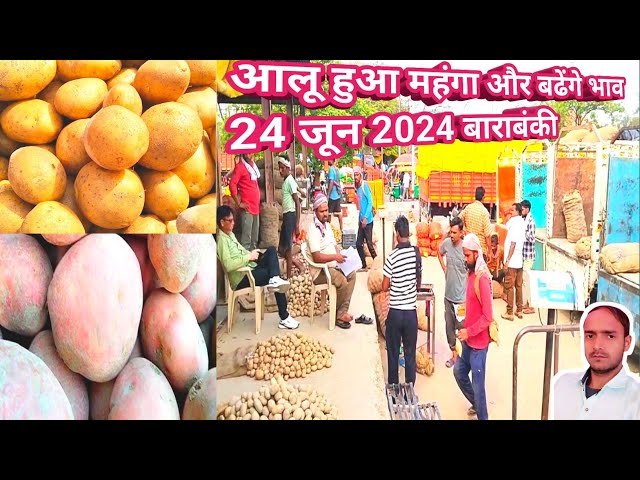 आलू हुआ महंगा और बढेंगे भाव 24 जून 2024 बाराबंकी | aaj ka aalu bhav🥔potato rate 🥔 potato price today