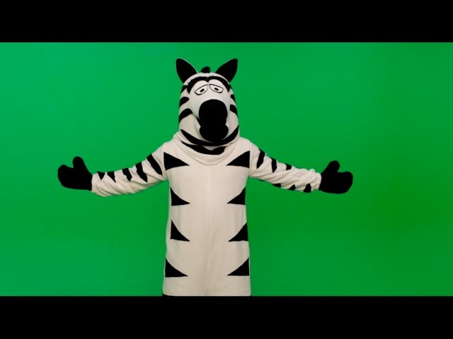 Dancing Zebra Footage: Last Week Tonight with John Oliver (HBO)
