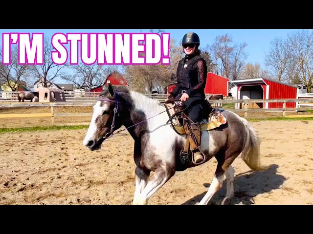 First Ride On My Auction Mare! I Did Not Expect That…