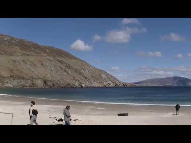 Paddy Lineen: Basking Shark Fishing In Achill