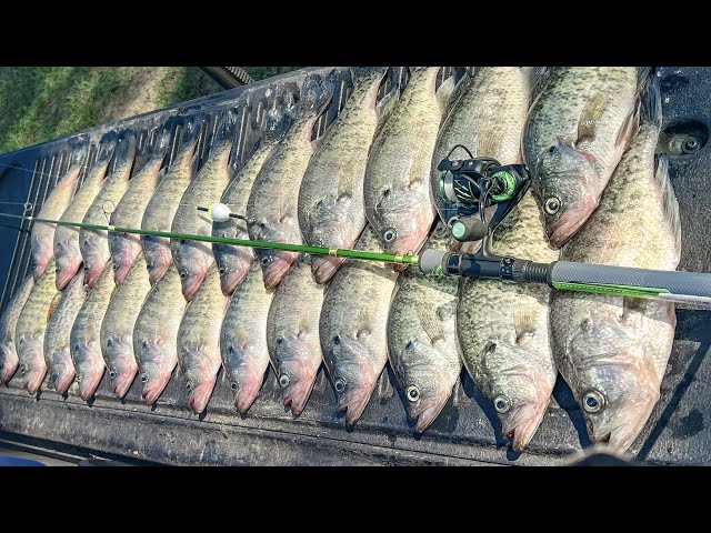 HOW TO Catch LIMITS OF CRAPPIE In The FALL 🍁| Fall CRAPPIE Fishing 2023🍁