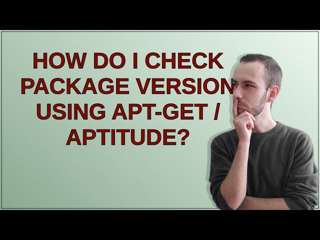 How do I check package version using apt-get / aptitude?