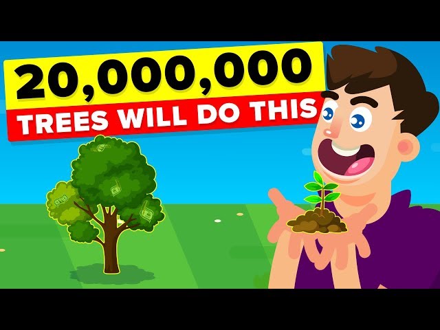Planting 20,000,000 Trees Will Actually Have This Impact