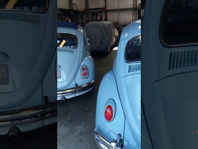 1968 and 1967 VW Beetles had a common Feature!  What is it? #shortsvideo #short