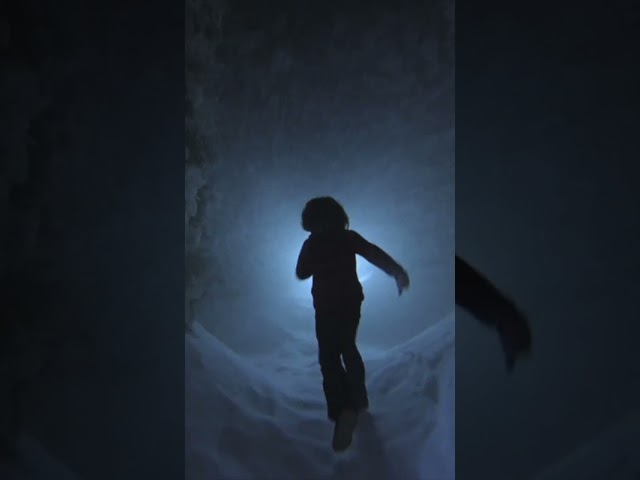 Snow on Screen | TIFF 2023
