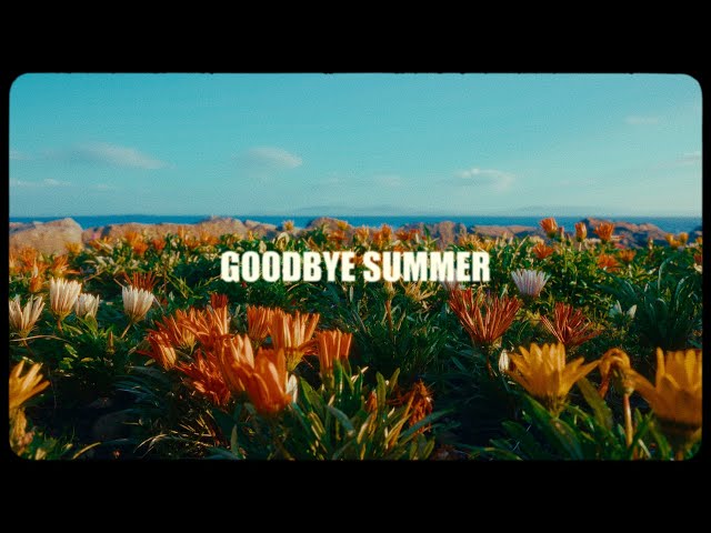 Goodbye Summer I SONY a7III | CinePrint16