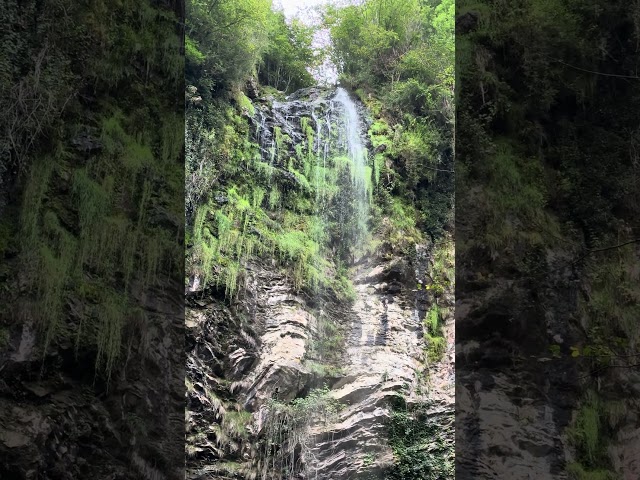 The sound of #waterfall creates a soothing and calming sound of #nature #shorts