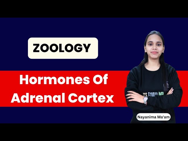 Hormones Of Adrenal Cortex | B.Sc. Zoology 2nd Semester | Nayanima Ma'am |