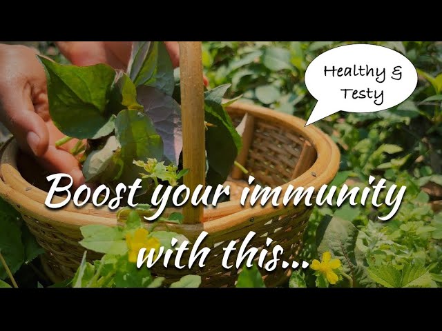 A best healthy herbs recipe to boost immunity | Healthy lifestyle |Healthyhabits