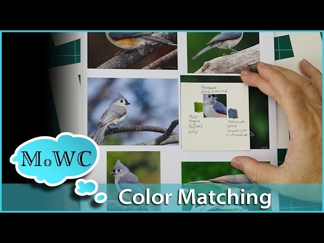 How to Match Colors and Values in Watercolor
