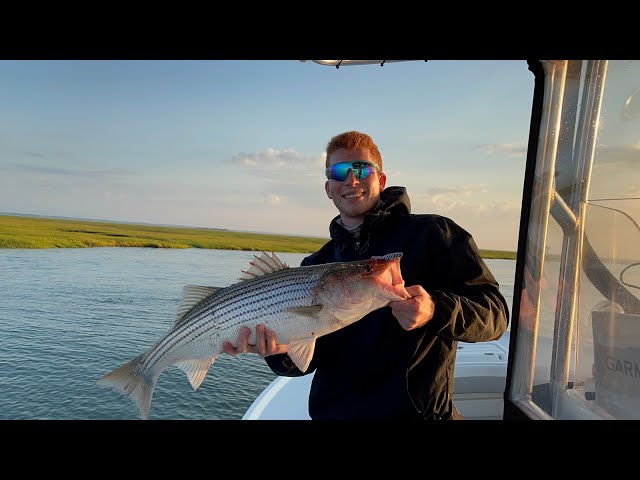 Striped Bass Fishing Jersey 2022