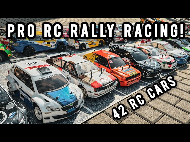 I've thrown my race away! Racing among the bests! Rc Rally Championship