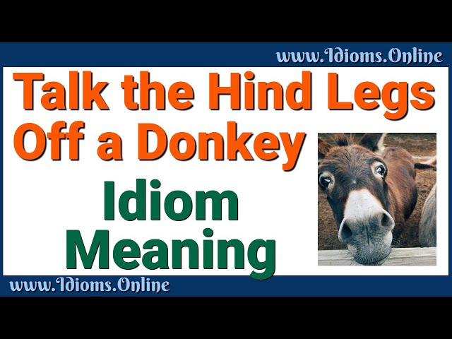 Talk the Hind Legs off a Donkey Idiom Meaning