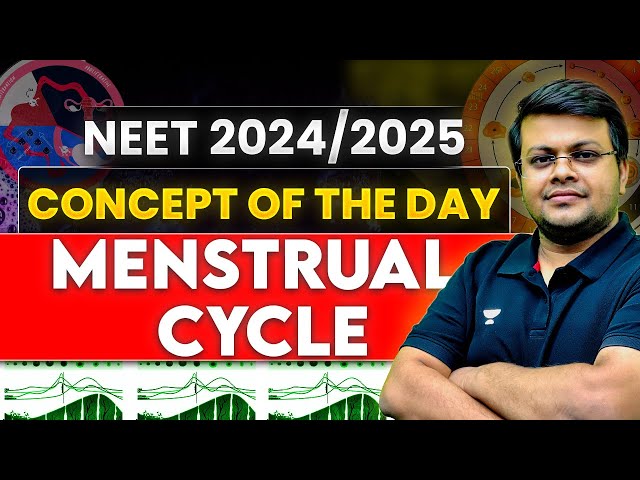 Concept of Menstrual Cycle | Human Reproduction | NEET 2025/2026 | NEET Biology | Dr. S K Singh