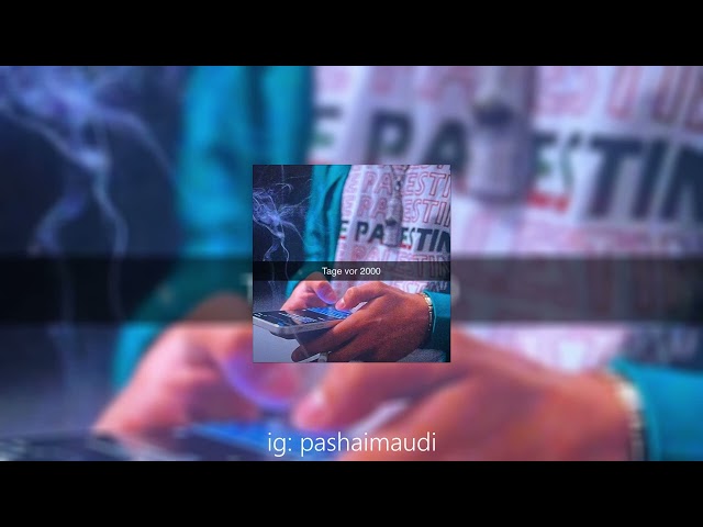 Pashanim - Japan Trikot | slowed + reverb