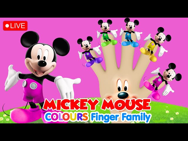 🔴 LIVE! MICKEY Colours FINGER FAMILY - Nursery Rhymes & Kids Songs