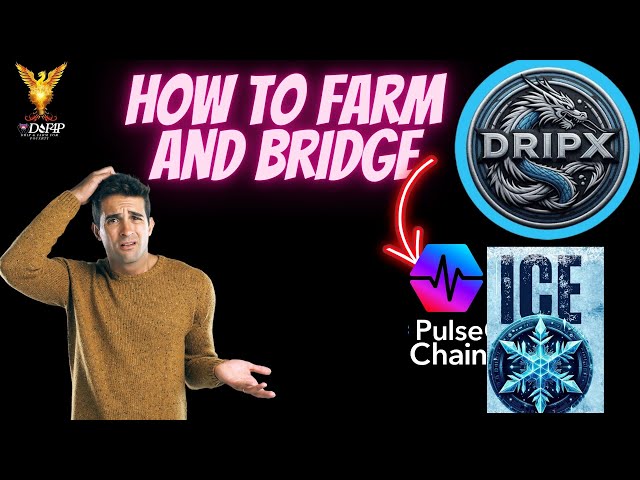 Crypto News crypto arbitrage Dripx Ice token farming on Pulsex how to get started