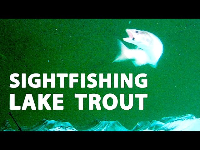 Sightfishing Lake Trout in 27 feet!!! - CLEARwater Lake, Manitoba