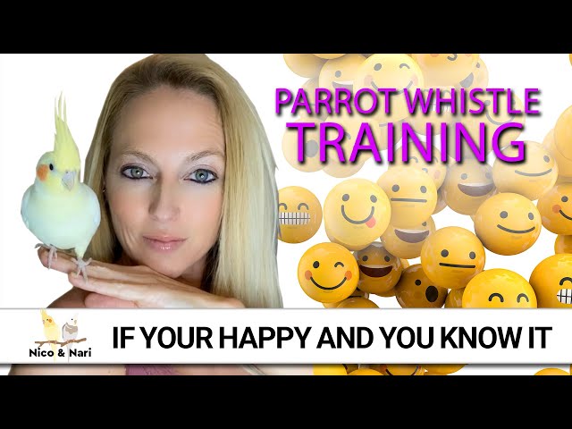 If You’re Happy And You Know It ~ Parrot Whistle Training