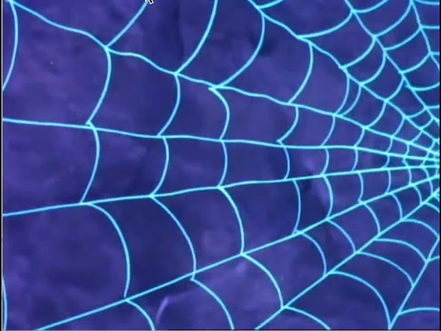 Spider Man and His Amazing Friends interstitial web wipe