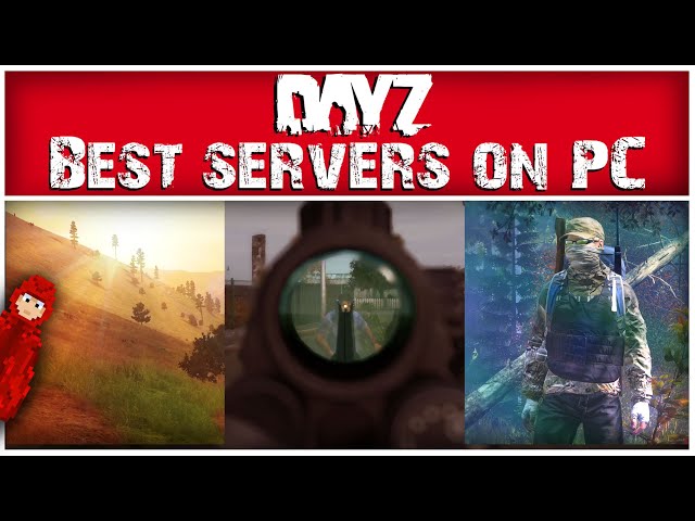The best PC servers you NEED to play on DayZ!